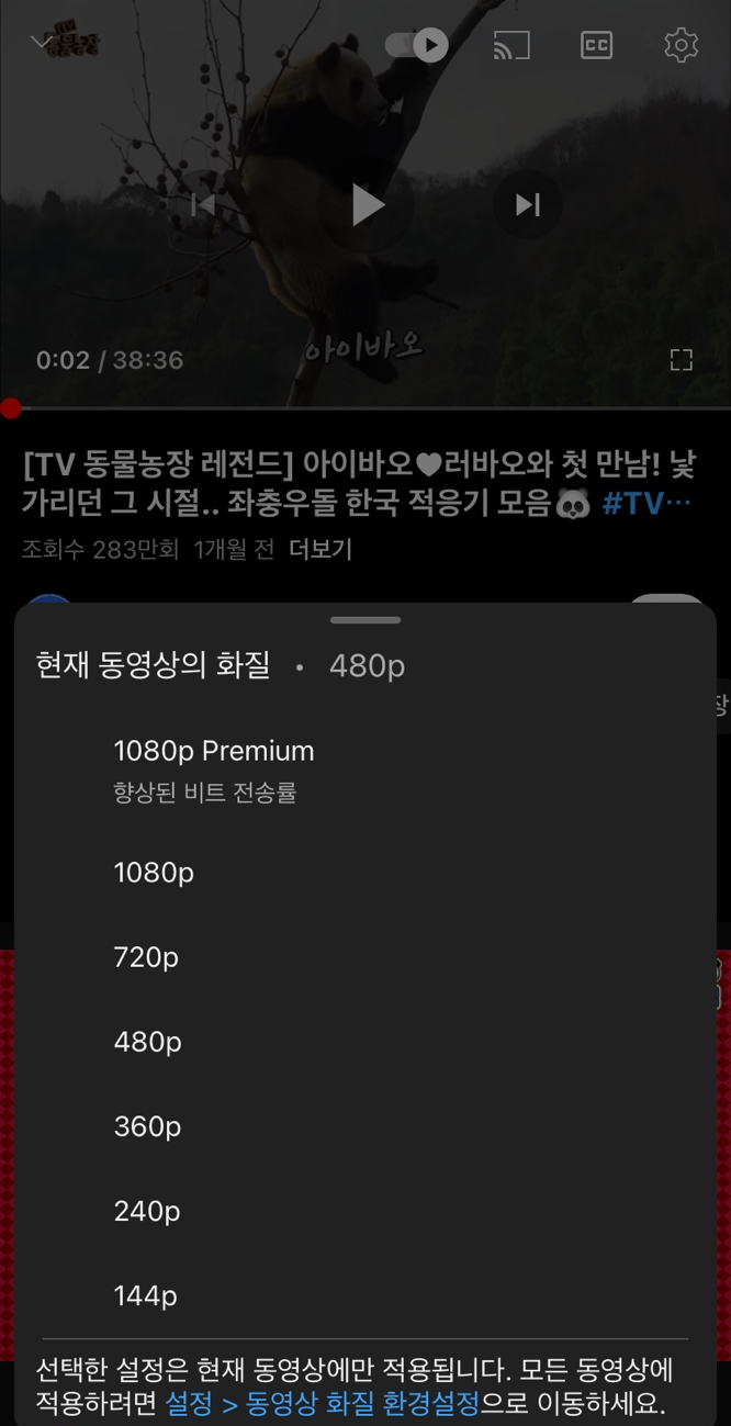 유튜브 동영상 화질 설정