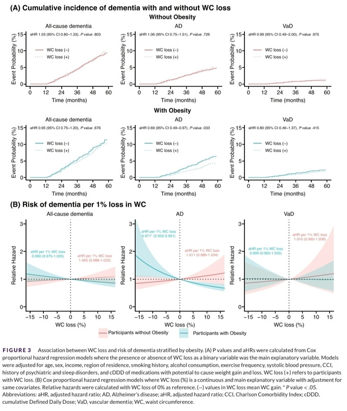 비만과 치매의 연관성/ 출처 -메디팜헬스