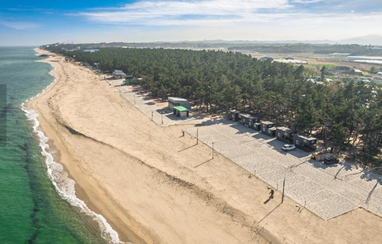 연곡 솔향기 캠핑장