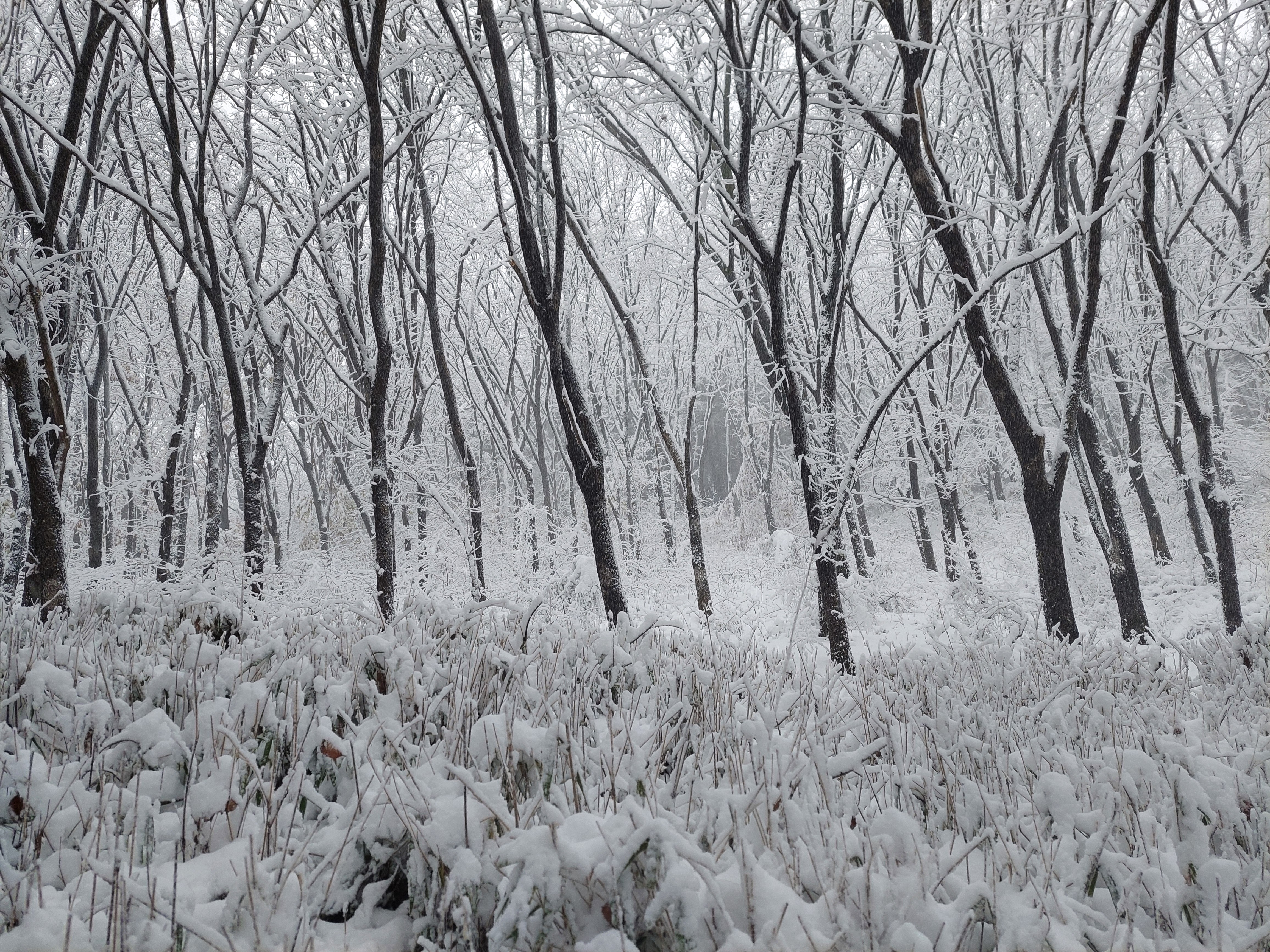 백련산안산