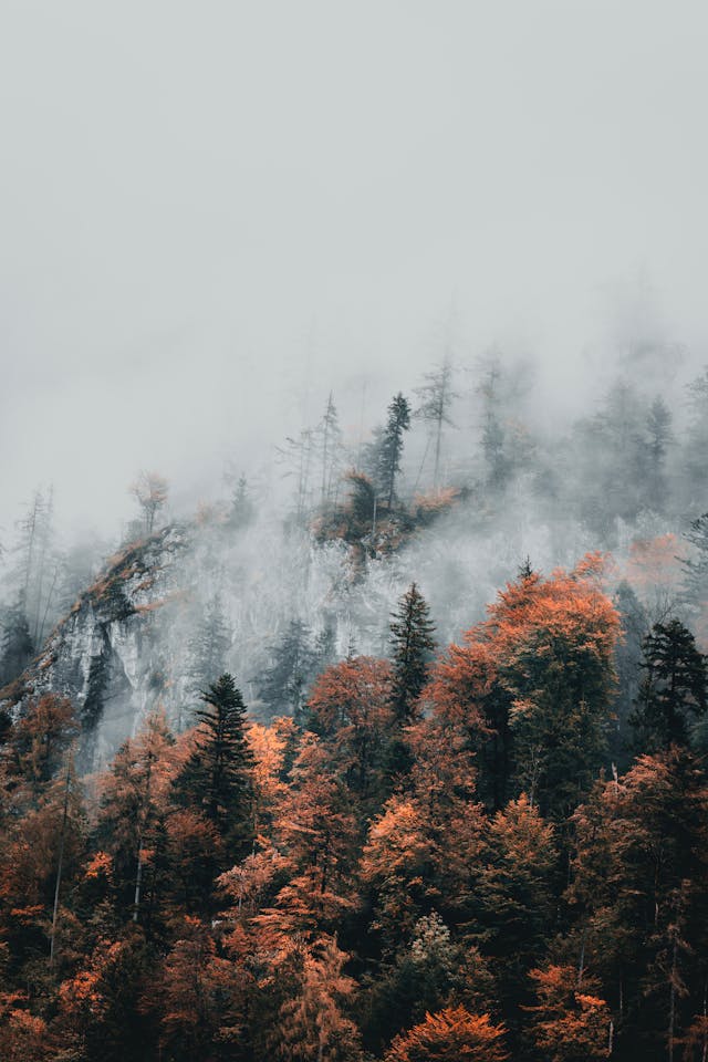 가을 단풍 명산 추천 10선