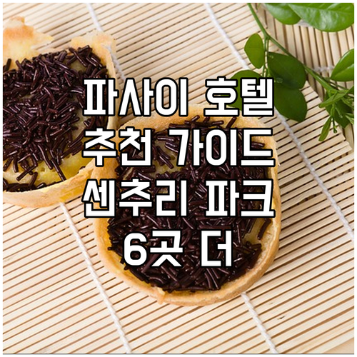 파사이 시티 호텔 추천 가이드 센추리..