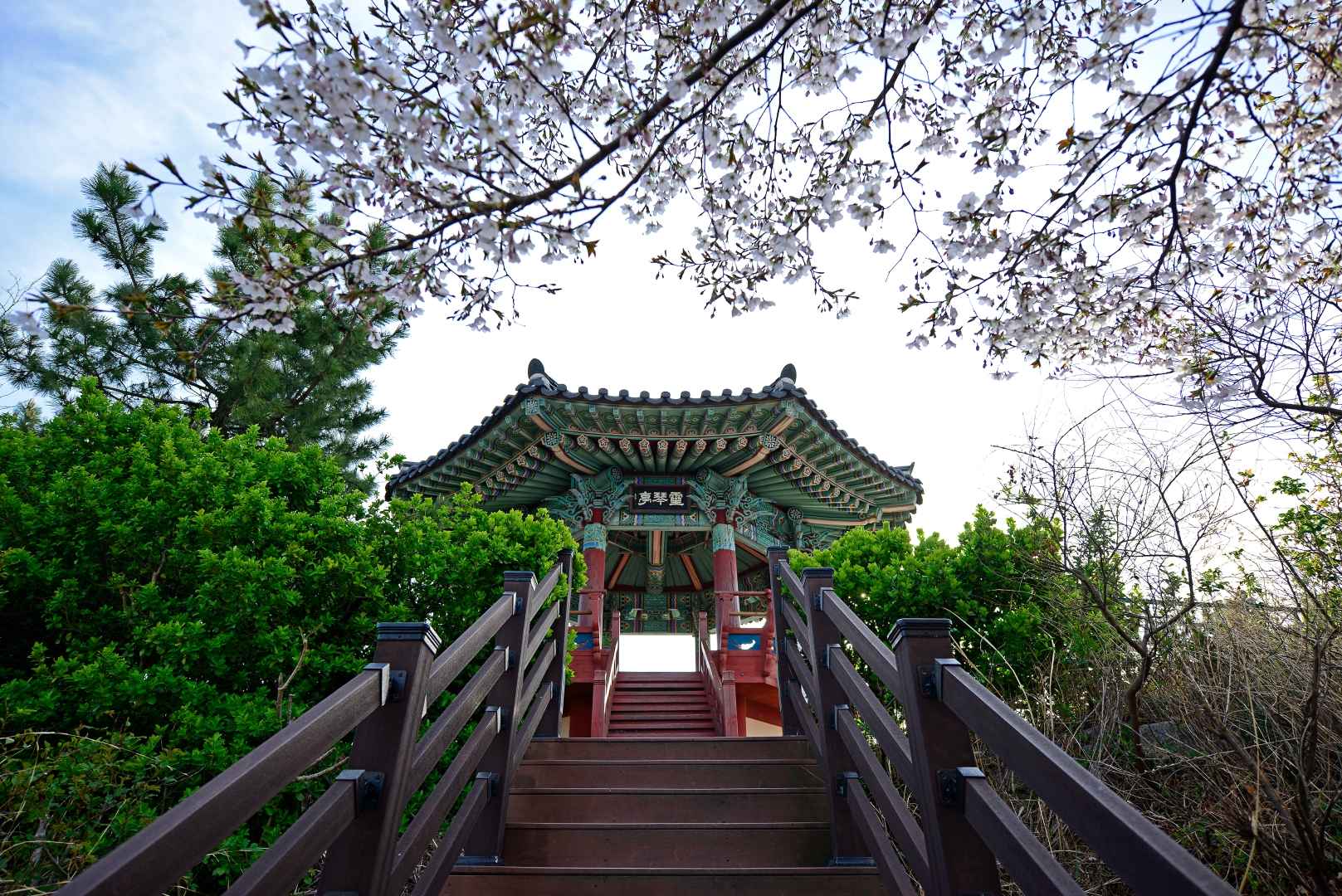 강원도 가볼만한곳 베스트10 속초 영금정 해돋이정자