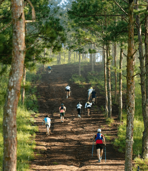 고요한 집중, 외부의 소음 속에서도 나를 잃지 않는 법