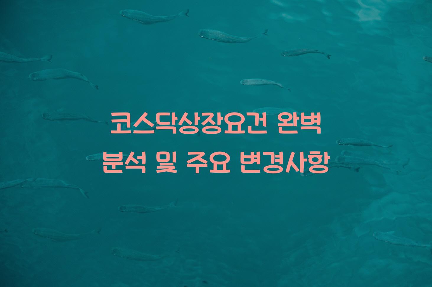 코스닥상장요건