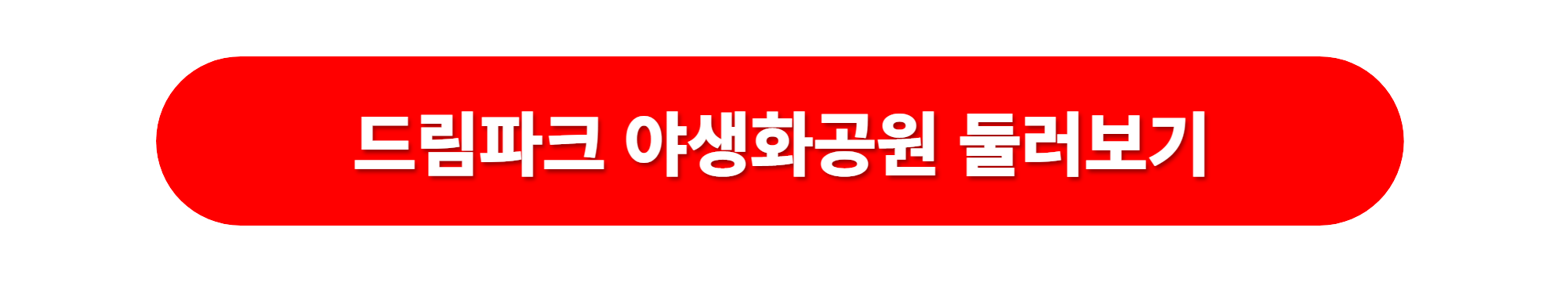 드림파크 야생화공원 핑크뮬리 억새풀 코스모스