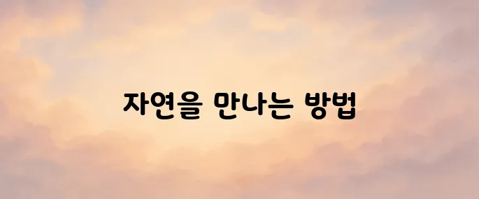 국립공원공단 예약통합시스템 (reservation.knps.or.kr)