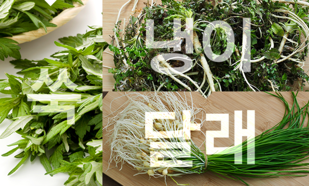 냉이, 달래, 쑥 이미지