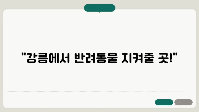 강원도 강릉시 동물병원 추천 리스트 4곳