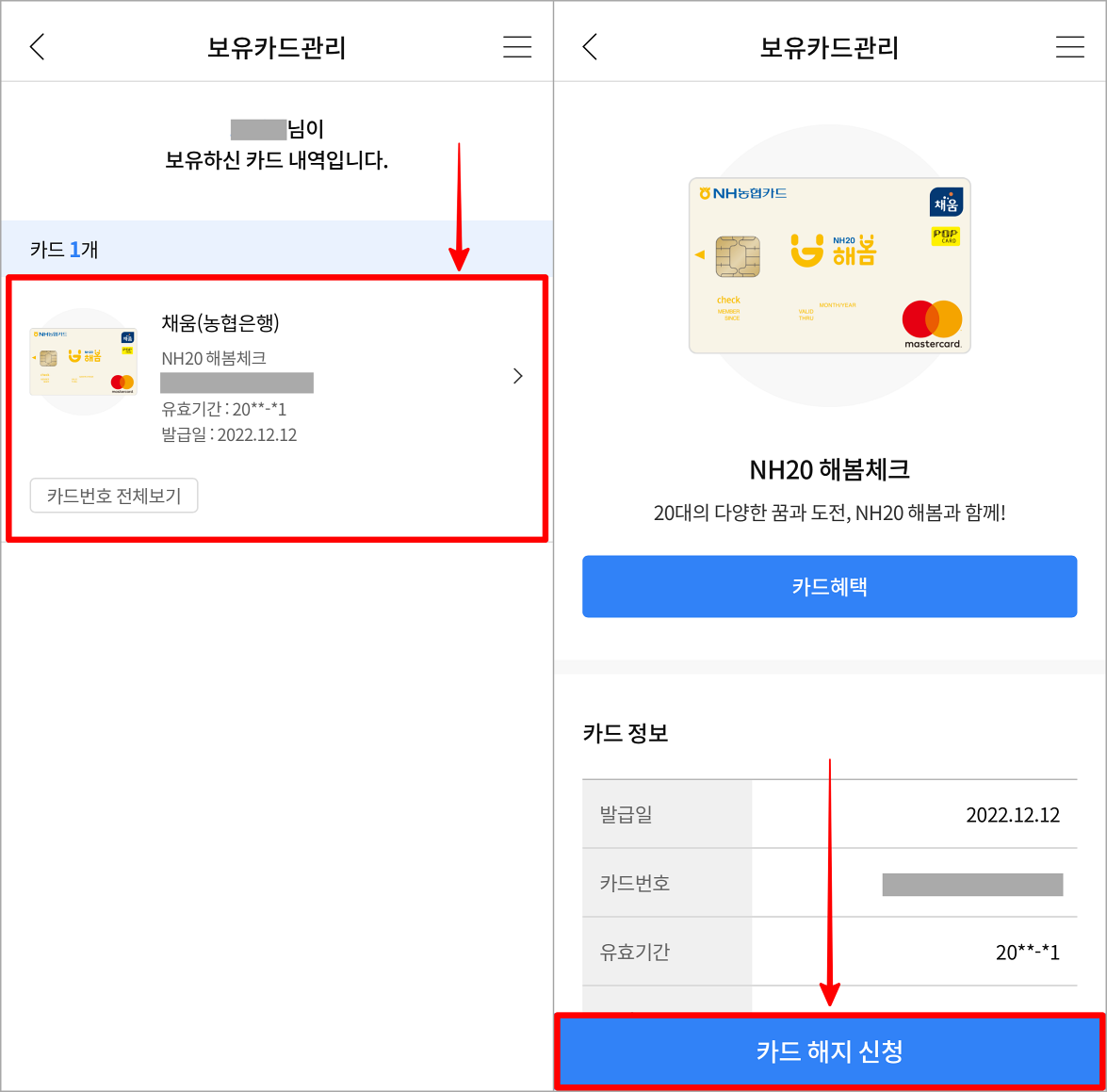 카드를 선택하고 접속된 페이지에서 카드 해지 신청을 선택