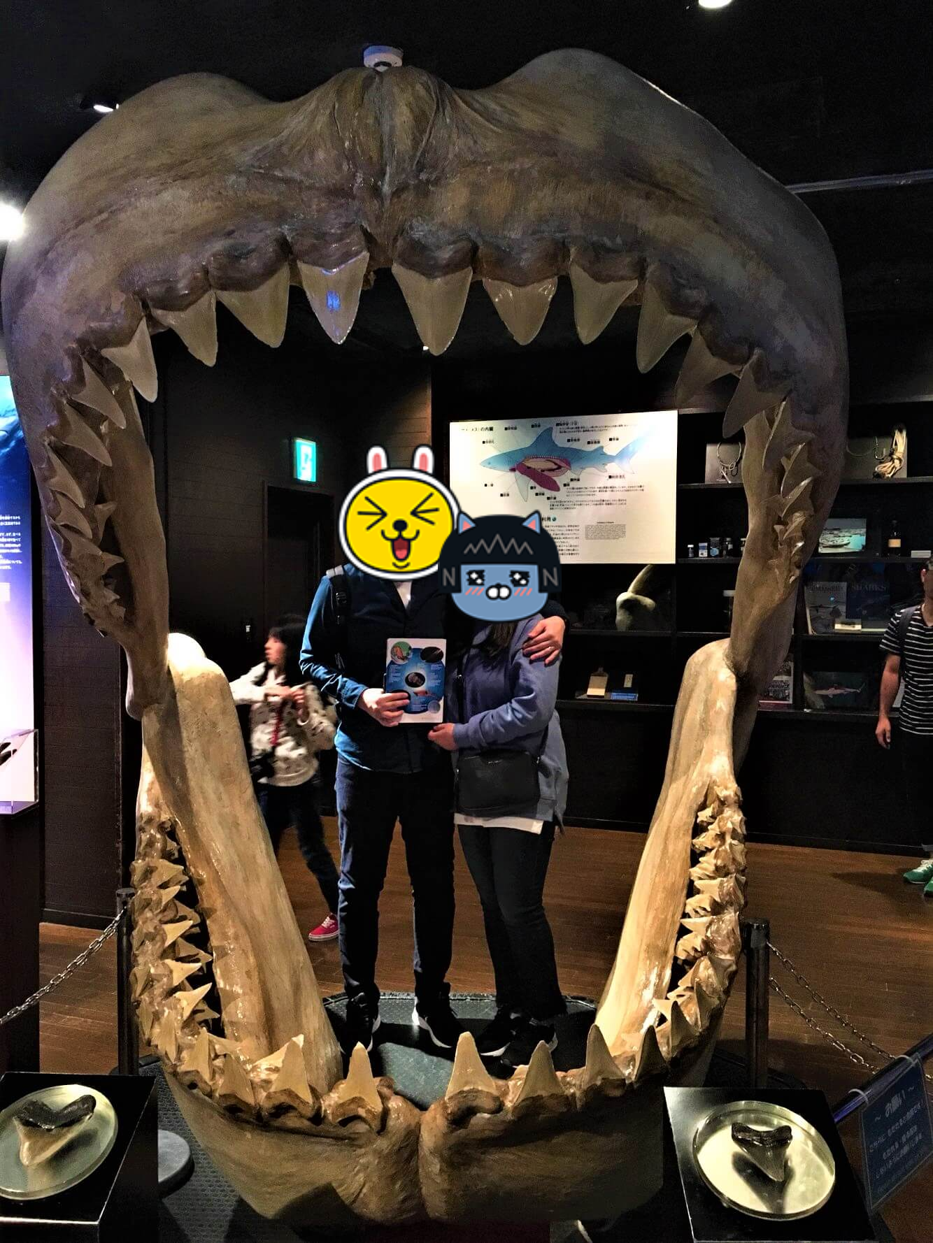 츄라우미 수족관