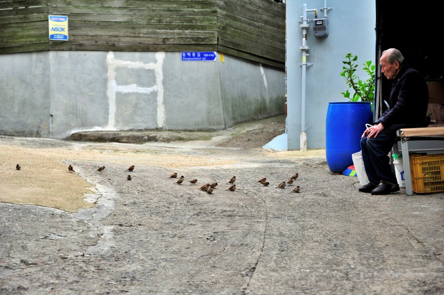 영도 산복도로 하나길 참새에게 먹이주는 할아버지