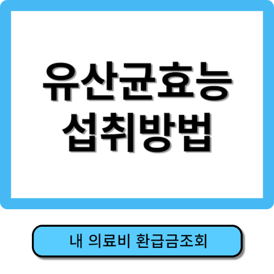 유산균효능