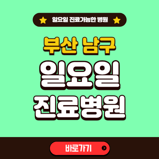 부산 남구 일요일 진료 가능한 병원 ❘ 주말 문여는 곳 총정리 (소아과, 내과, 안과, 치과, 피부과, 정형외과, 산부인과)