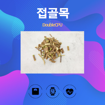 접골목 알아보기