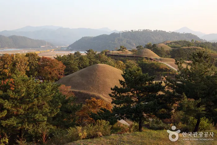 함안 말이산 고분군 전경 이미지