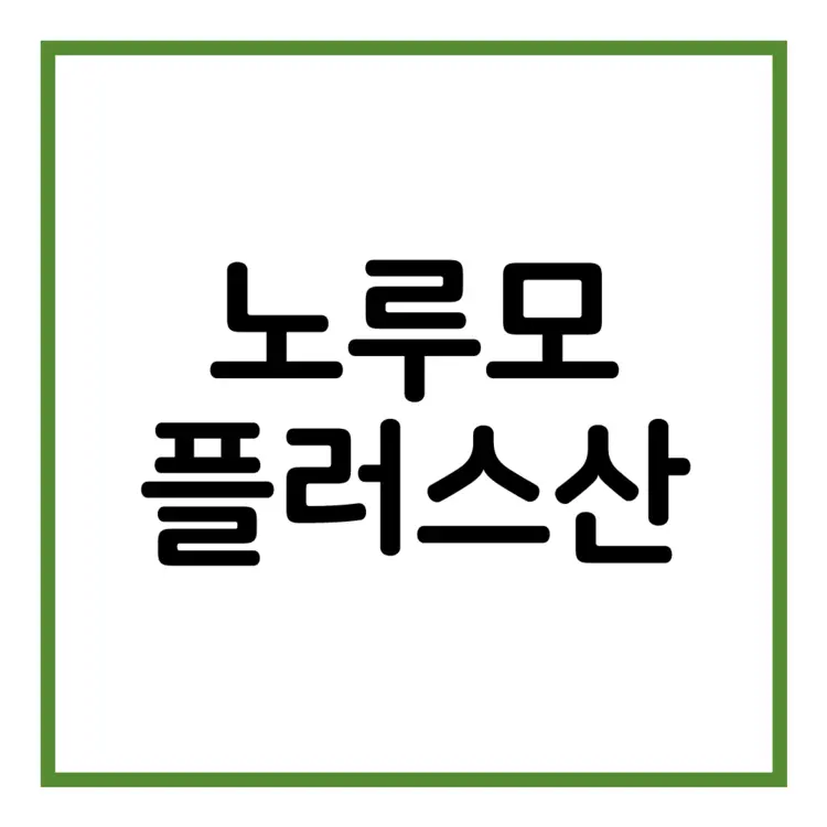노루모플러스산-이미지