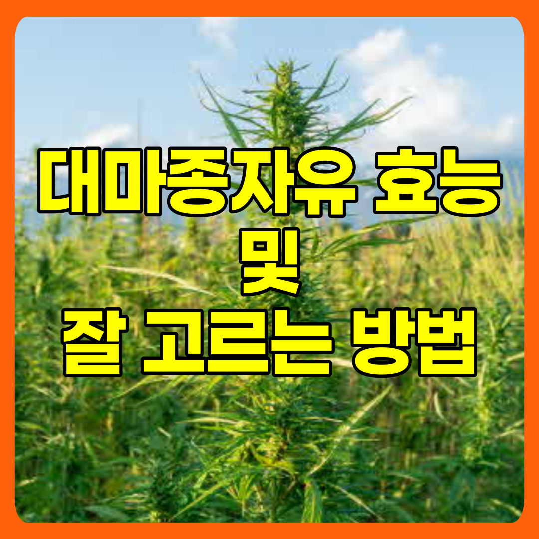 대마종자유