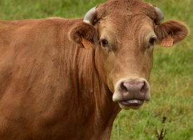 농가직불금 신청 교육