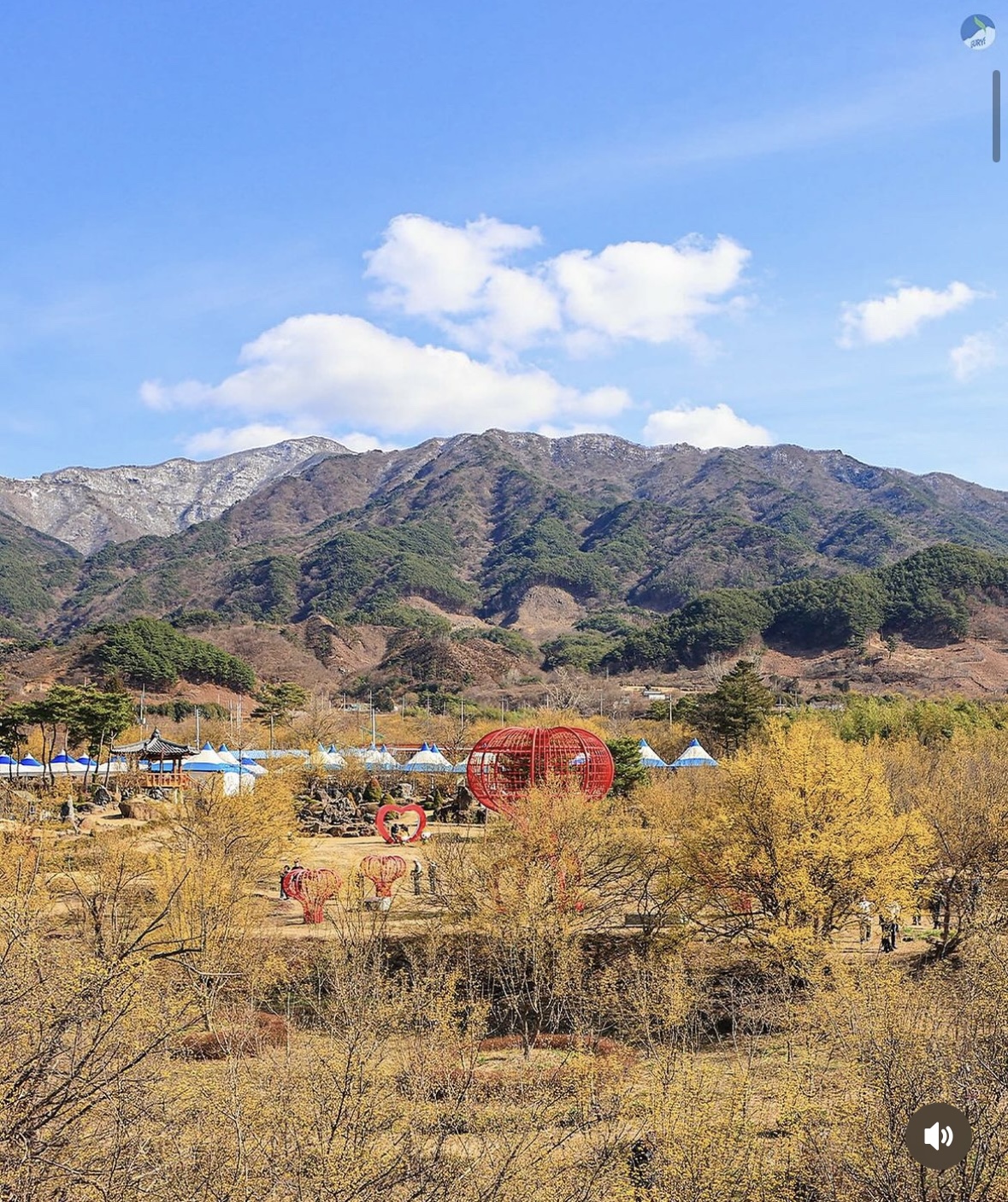 구례 산수유축제