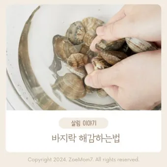 바지락 해감시키는법 깨끗하게 해감하는 방법_16