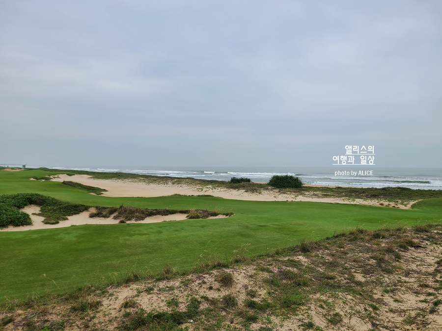 다낭 호이안 골프여행 호이아나 쇼어스 CC 이용정보 후기 골프장 추천