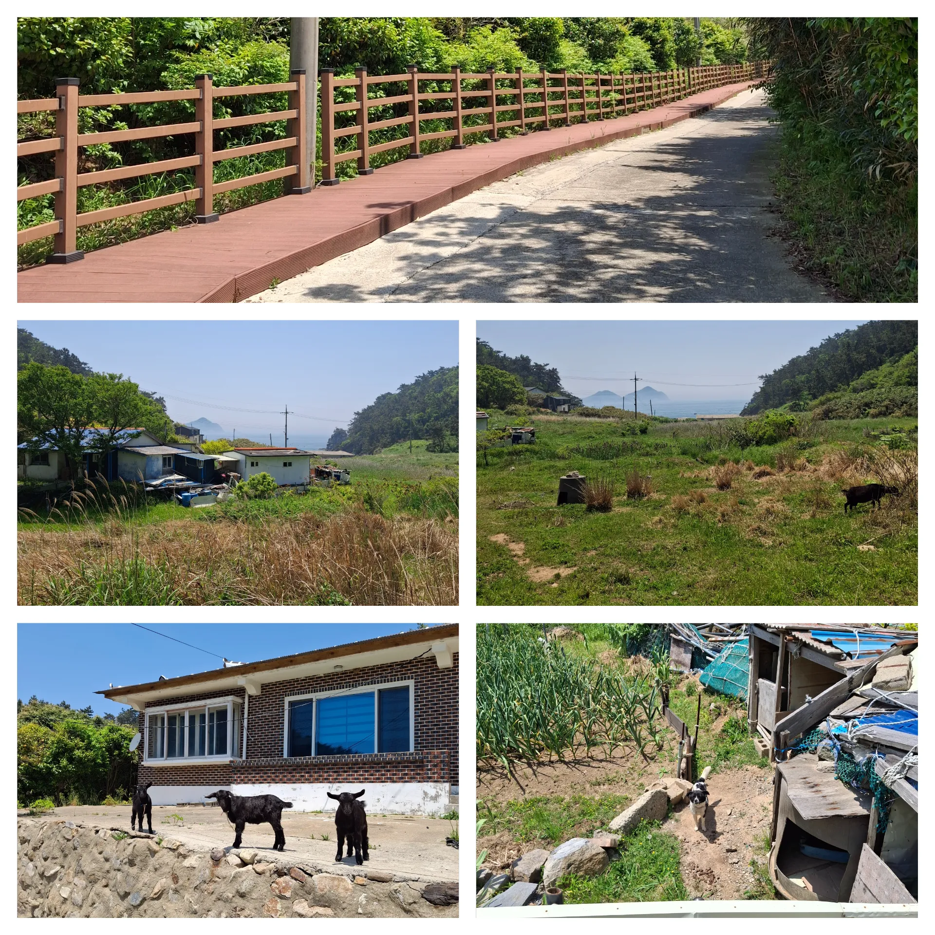 봄 고군산군도 방축도