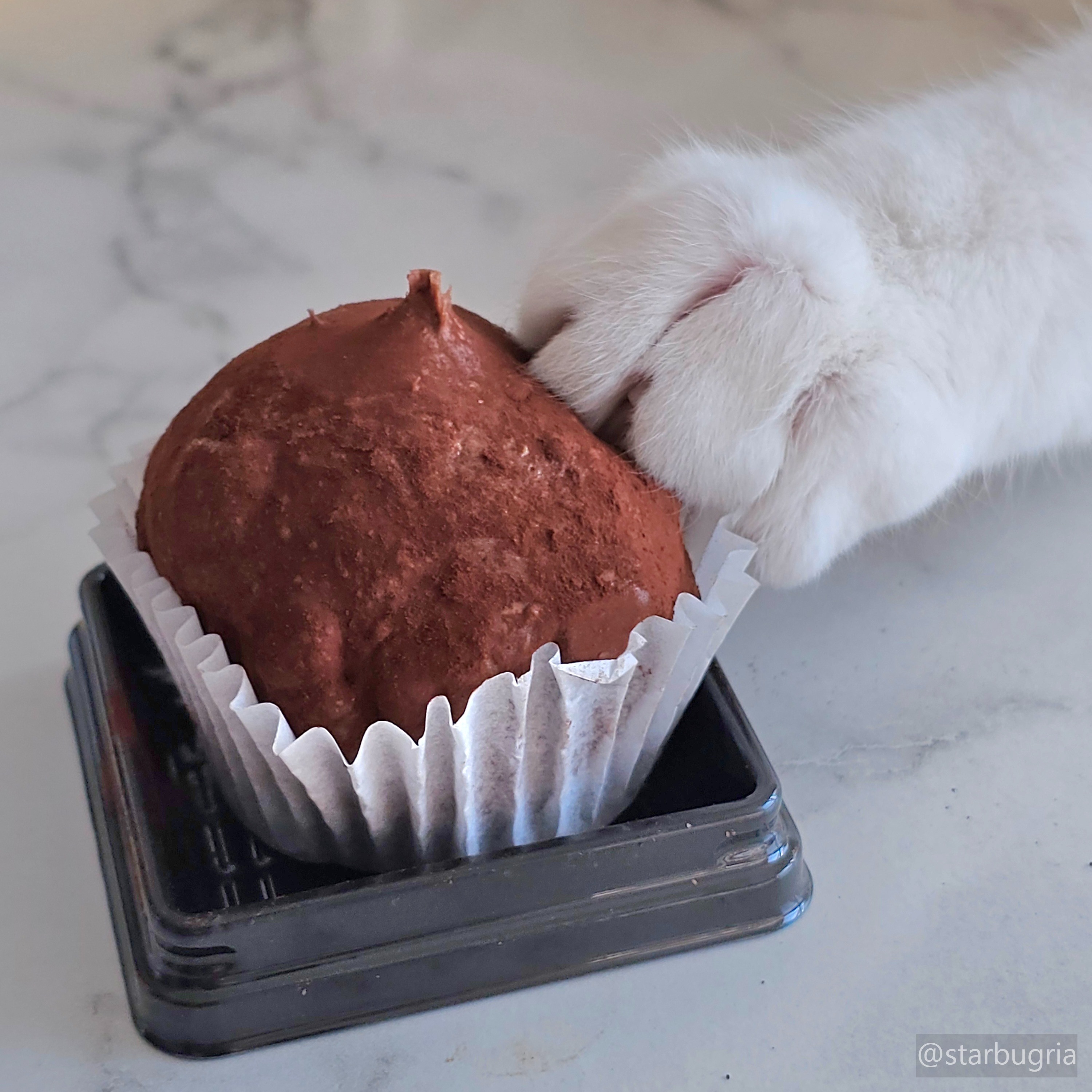 몽글디저트샵 두바이쫀득쿠키