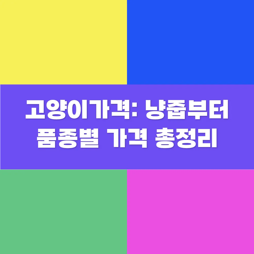 썸네일 이미지