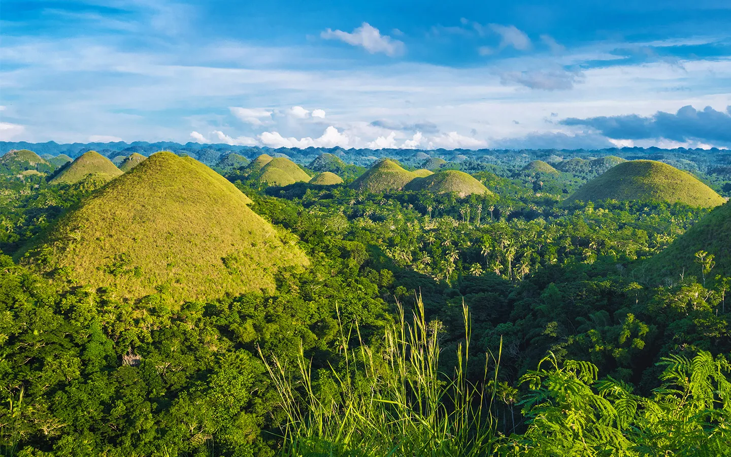 필리핀 보홀여행 패키지 여행 필수 코스_1