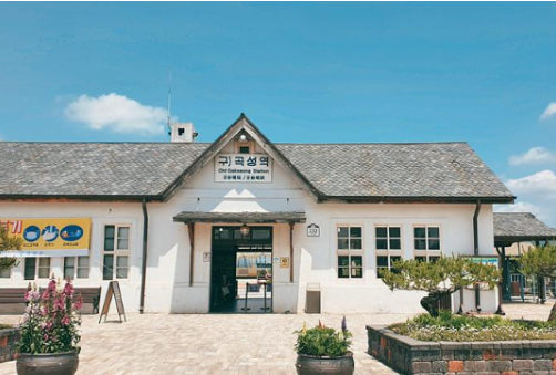 곡성 세계장미축제 개화상황