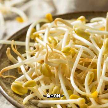 콩나물국 맛있게 끓이는 방법 