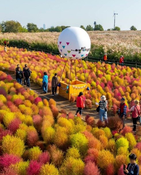 2025 서울억새축제 완벽 가이드 ❘ 10월18~24일 하늘공원 일정·주차·야간개장 총정리
