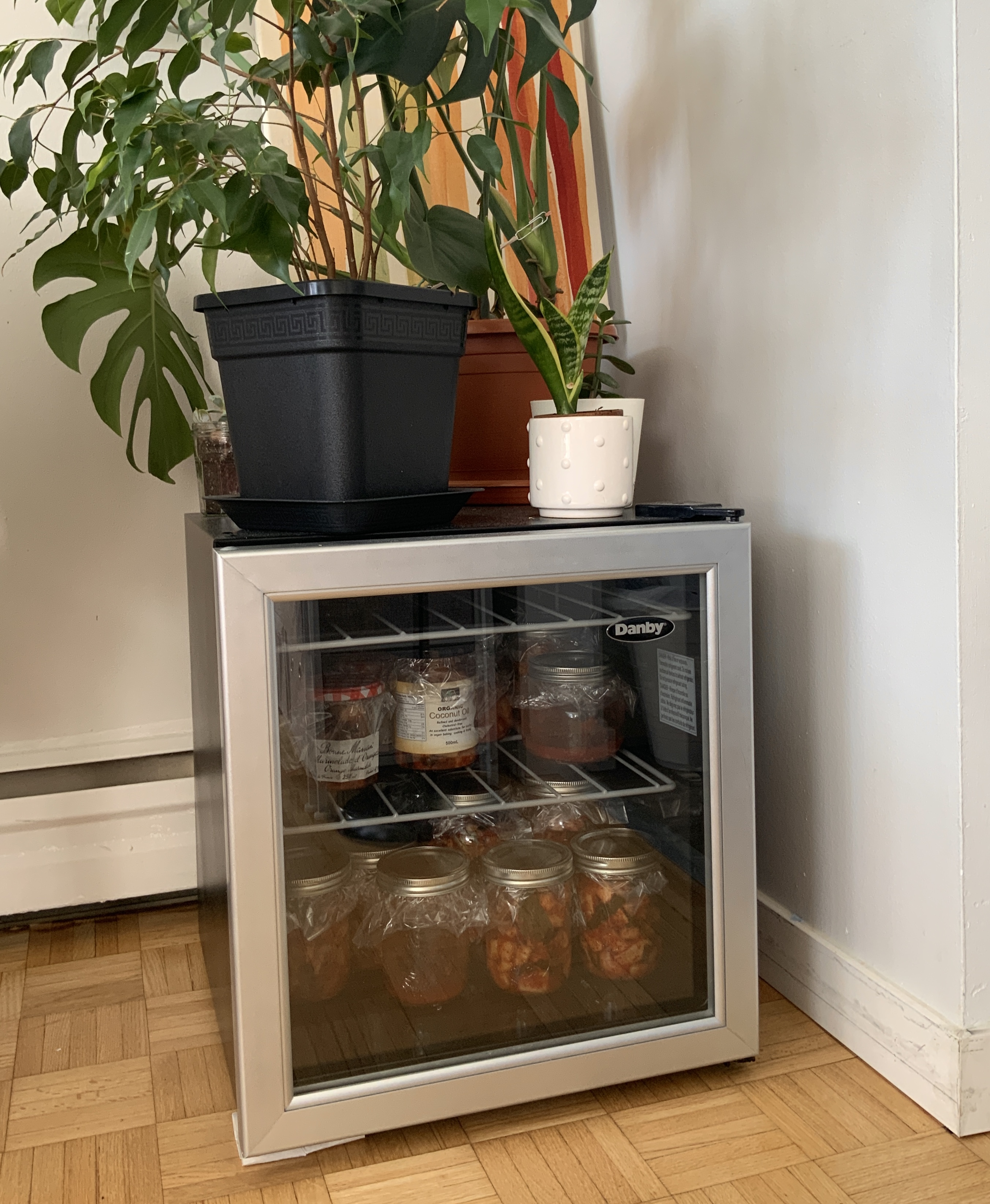 단비 와인냉장고