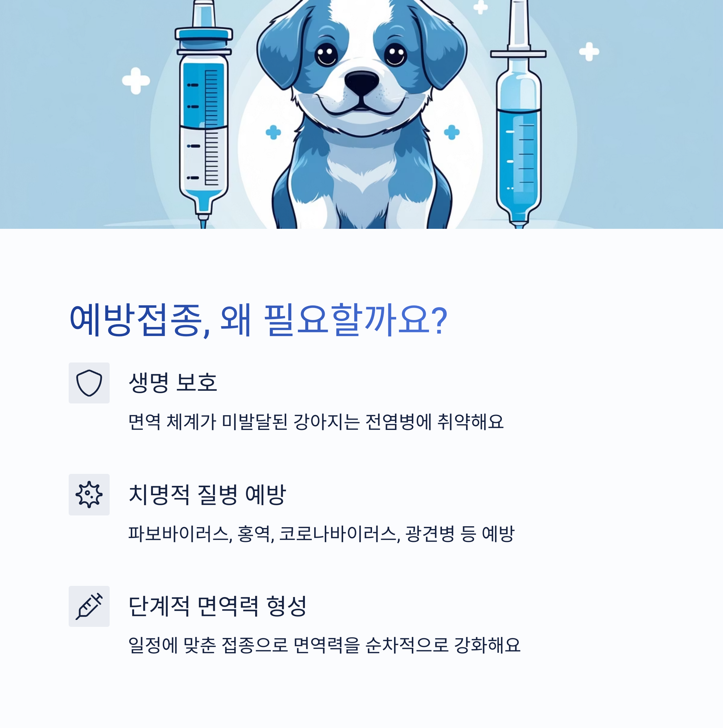 강아지 예방접종 순서와 시기 총정리 (2025 최신)