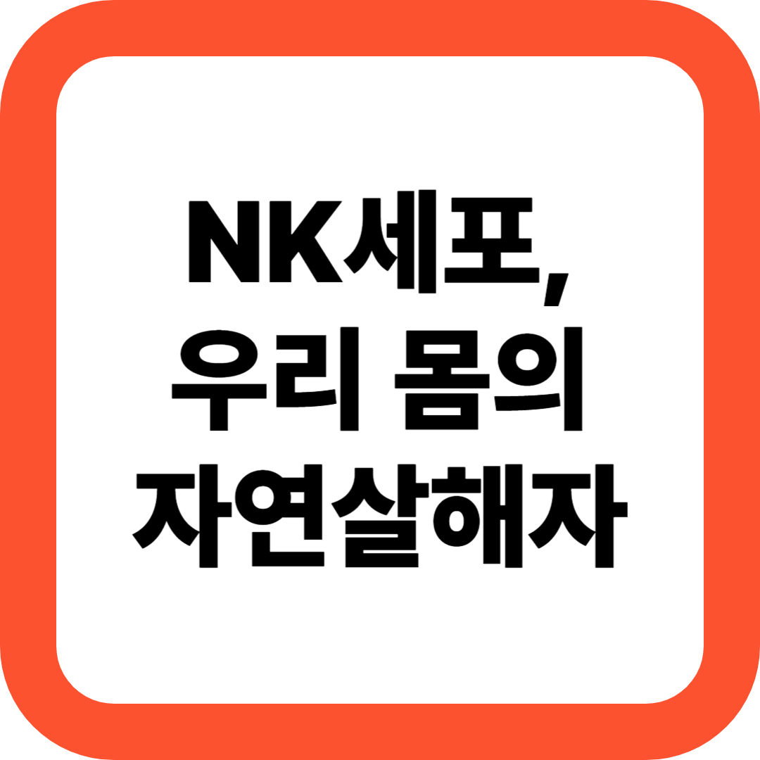 NK세포 포스팅 썸네일 이미지