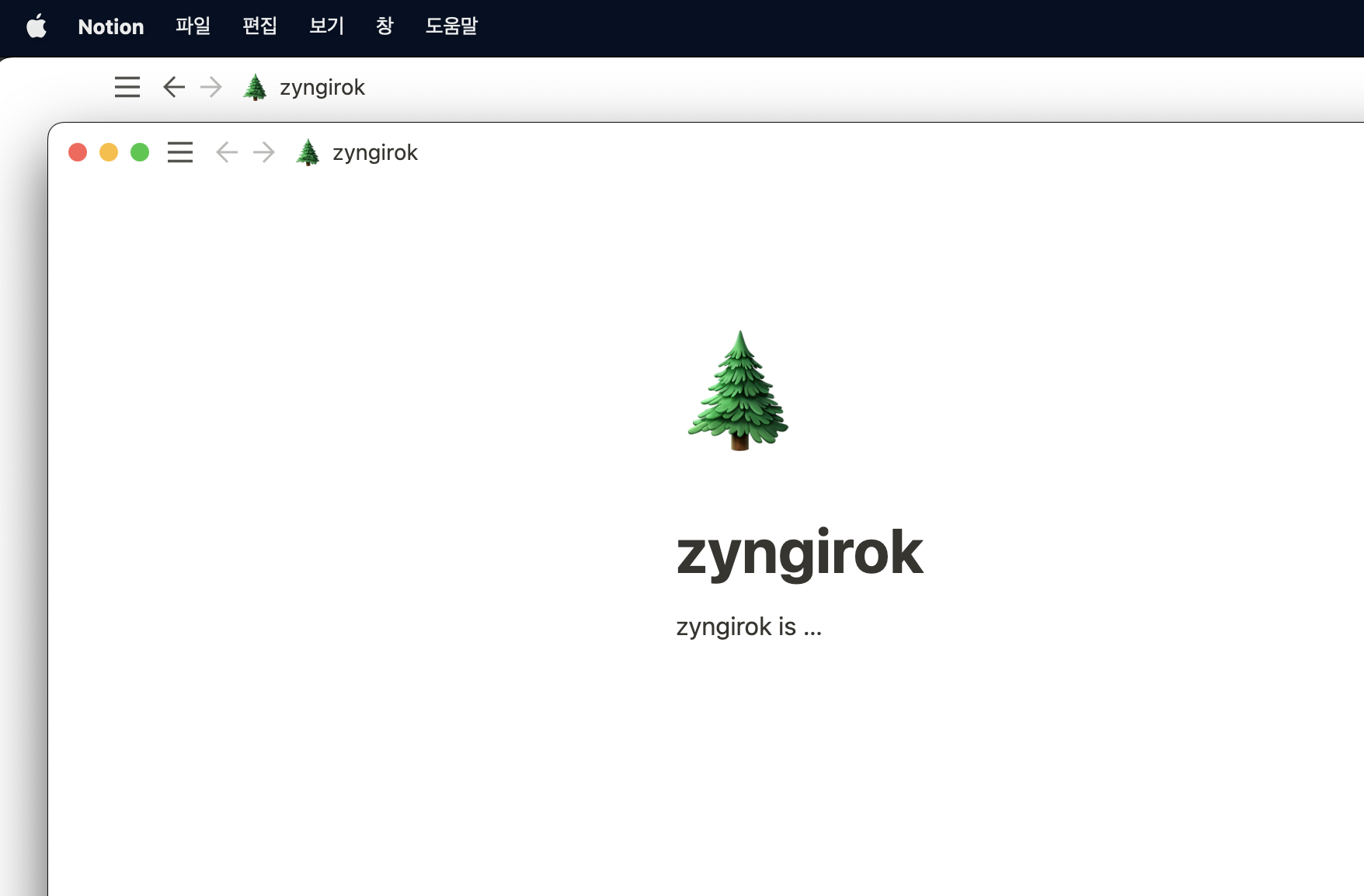 노션-창-두개가-띄워져-있다.