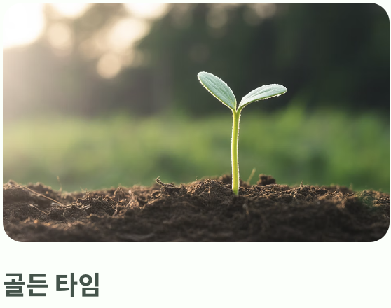 &amp;#39;골든 타임&amp;#39;을 놓치지 마세요! 순지르기 최적 시기