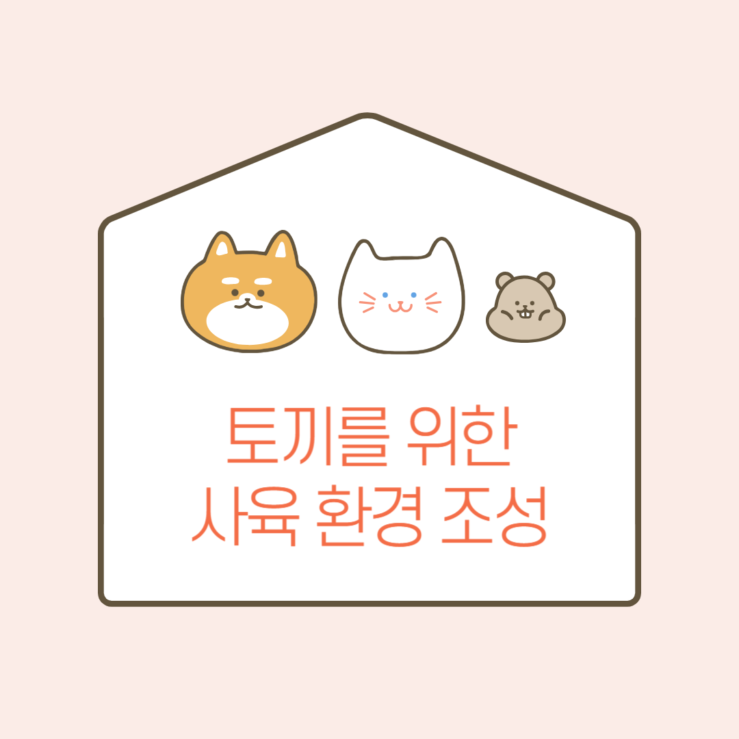 토끼를 위한 사육 환경 관련 이미지