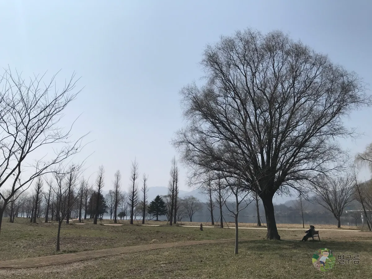 두물머리-역사공원-힐링포인트-나무그늘-아래-벤치가-있다