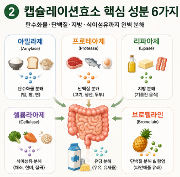 캡슐레이션효소-뜻-내돈내산-변비-효과-성분-복용법