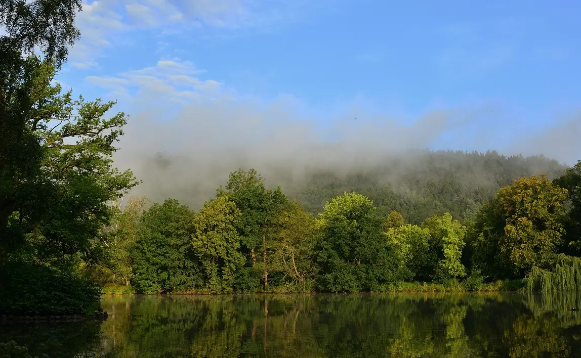 손해평가사 시험일정 시험과목 합격률