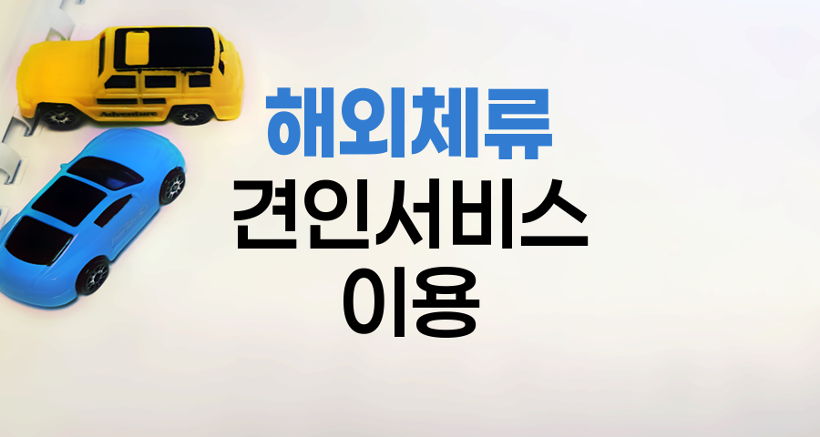 DB손해보험 해외 체류 시 견인서비스 이용