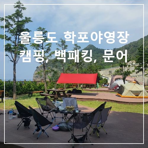울릉도 학포야영장