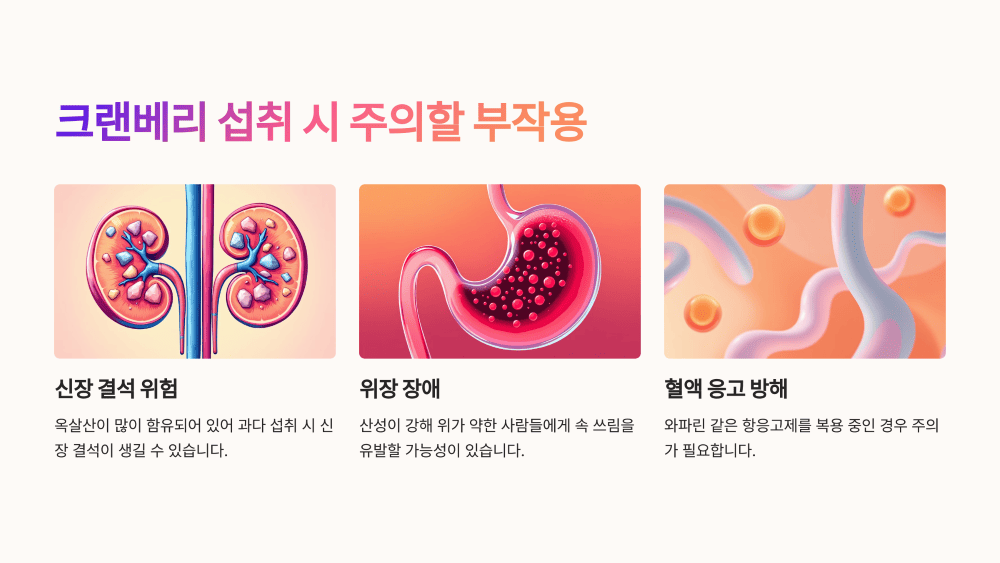 크랜베리 섭취 시 주의할 부작용