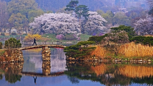 벚꽃길가든 제주 벚꽃길 벚꽃길부엌 벚꽃길휴게소 하동 벚꽃길 대청호 벚꽃길 개금벚꽃길용인 마운틴캠핑장 벚꽃 용인 벚꽃 개화 용인 벚꽃캠핑 용인 벚꽃 명소 용인 봉봉캠핑장 벚꽃 용인 반딧불이캠핑장 벚꽃 용인 벚꽃 개화시기 용인 반딧불캠핑장 벚꽃 용인 싱글벙글캠핑장 벚꽃 용인 벚꽃캠핑장 경기도 벚꽃 시기 경기도 광주 벚꽃 개화시기 경기도 벚꽃축제 경기도 벚꽃 글램핑 경기도 벚꽃캠핑 청평 캠핑장 당일치기 캠핑장 경기도 벚꽃 개화시기 충주 오토캠핑장 경기도 광주 벚꽃 어린이캠핑장 캠핑카 캠핑장 폐교 캠핑장 철원 캠핑장 동해 오토캠핑장 벚꽃축제진해 벚꽃관광 창원 벚꽃 명소