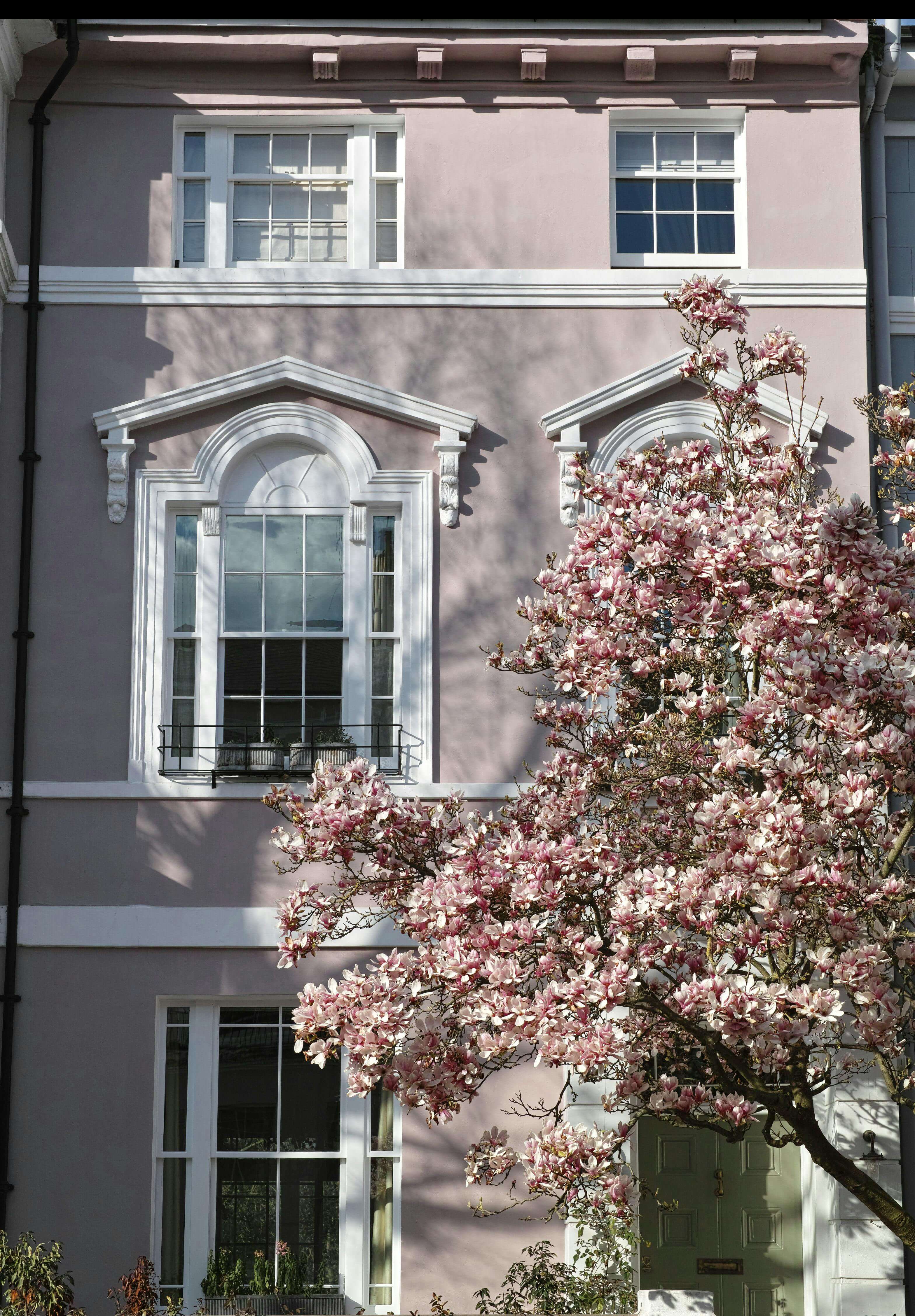 2024 벚꽃 개화시기, 인기 명소, 벚꽃축제