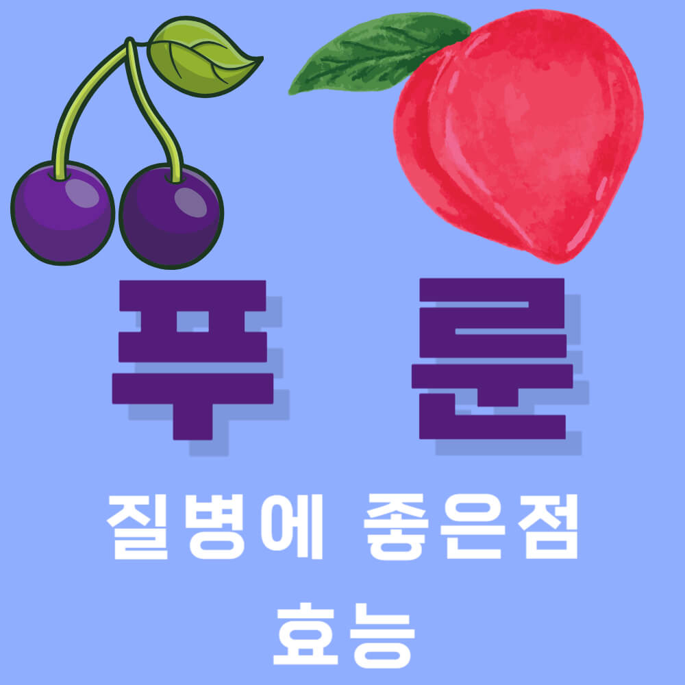 푸룬이 질병에 좋은점과 효능
