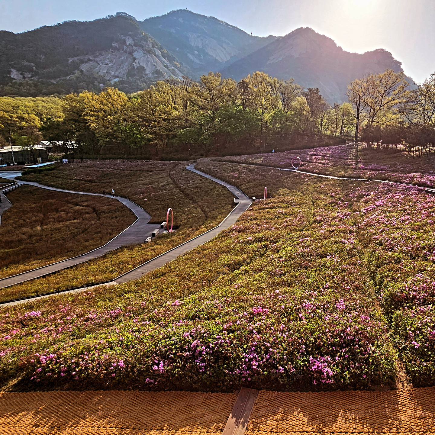 2024 불암산 철쭉제 기본일정과 프로그램 소개