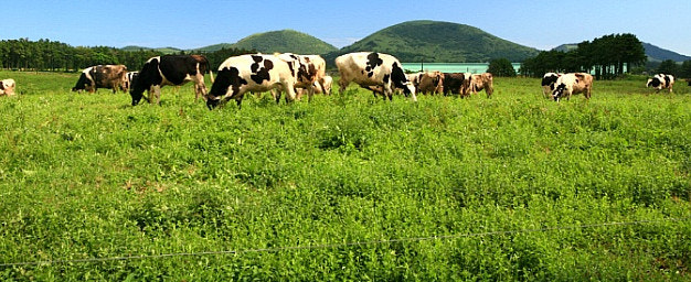 2025년 여름, 가족과 함께 떠나는 전국 농촌 체험마을 BEST 5 관련 사진